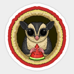 SUGAR GLIDER Sticker